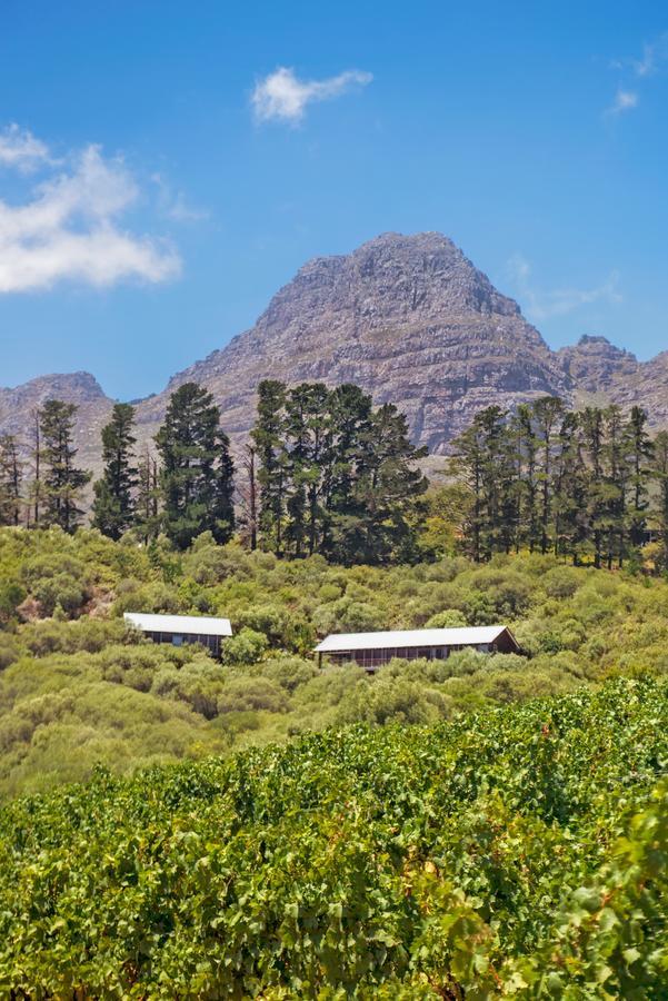 Bush Lodge At Hidden Valley Wines Стелленбос Экстерьер фото
